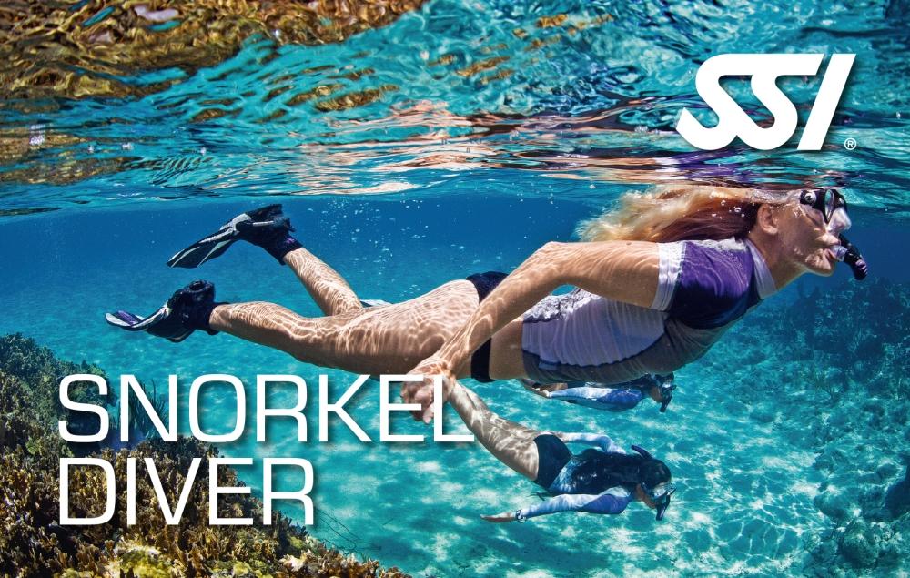 Snorkel